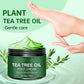 Verzachtende voetcrème met aloë vera en tea tree-olie