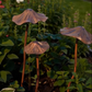 Antieke ijzeren tuinpaal in de vorm van een lotusblad