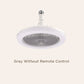 2-in-1 stille verstelbare ventilatorlamp met afstandsbediening voor de slaapkamer （Gratis verzending）