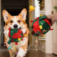 🎄 50% KORTING | Interactieve kerstbal voor honden – Speelgoed met belletje en oplaadbare batterij dat stuitert🎄🐶🐱