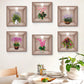 3D Bloemen Vaas Muursticker (Koop 1 krijg 1 gratis)