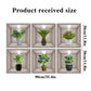 3D Bloemen Vaas Muursticker (Koop 1 krijg 1 gratis)