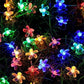 🎄 KERSTSPECIAL – 60% KORTING! Waterdichte LED-kersenbloesemlichtslinger voor Buiten | Sfeervolle Verlichting voor Tuin, Terras en Schutting