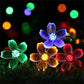 🎄 KERSTSPECIAL – 60% KORTING! Waterdichte LED-kersenbloesemlichtslinger voor Buiten | Sfeervolle Verlichting voor Tuin, Terras en Schutting