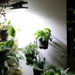 Solar Outdoor Clip Lights met bewegingssensor