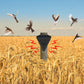 ✨Waterdichte Vogelverjager voor Buiten op Zonne-Energie