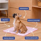 🐱🐶 Zomer Huisdier Koelmat