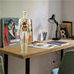 3D menselijk lichaam Torso Model voor Kid Anatomie Model Skelet
