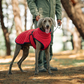 Reflecterende winterjas voor buitenhonden