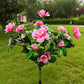 Simulatie Azalea Bloem Grondsteek Zonneverlichting