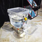 Waterdispenser voor huisdieren met grote capaciteit