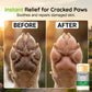 🐾 Hydraterende Pootbalsemstick Voor Honden & Katten – Zachte Verzorging Voor Droge Pootjes