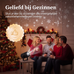 LED Sneeuwvlok Projectielamp