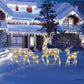 🦌 50% KORTING – Verlichte Kerst Rendierfamilie van 3 Delen | LED-strik & Stevig Smeedijzeren Frame | Voor Binnen en Buiten