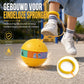 🎁Nieuwe artikelen 50% KORTING💥Kinderen: knipperende ‘Skip Ball’ met LED-verlichting – enkel-speeltje met zachte sponshoes voor sensorische integratietraining